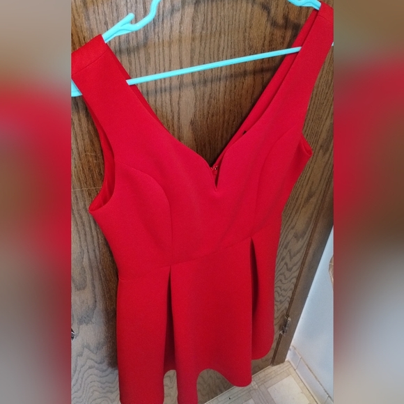 Forever 21 Red Fit and Flare Dress - Picture 3 of 12